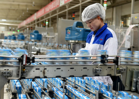 Çin Laktik Asit Bakterileri Süt Üretim Hattı Yoğurt Üretim Ekipmanları / Makine Tedarikçi