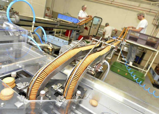 Çin Çerez Bisküvi Üretim Hattı Paketleme Konveyör Sistemleri Uzun Servis Ömrü Tedarikçi