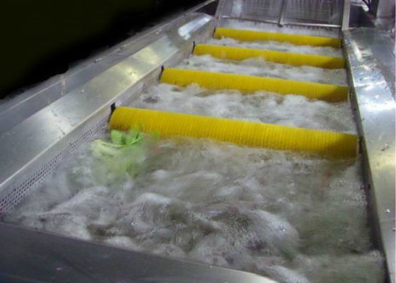 Çin Endüstriyel Meyve Ve Sebze Temizleyici Makinesi / Yıkama Makinesi Fırça Tipi Tedarikçi