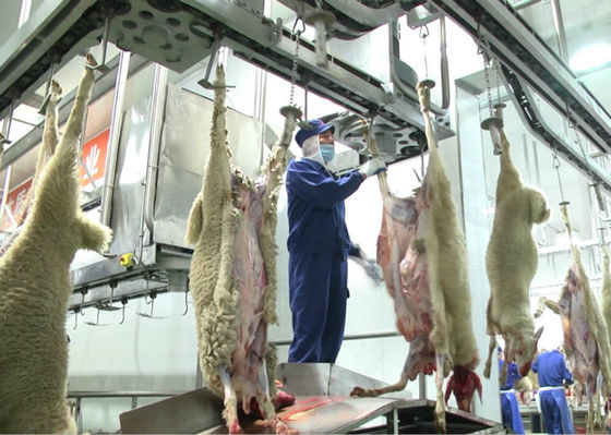 Çin Kuzu Bölünmüş Et Üretim Hattı, Endüstriyel Üretim Hattı İleri İşleme Tedarikçi