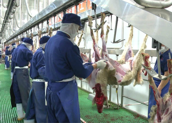Çin Keçi Koyun Eti Bölünmüş Et Üretim Hattı Kesim Taşıma Tüm İşleme Tipi Tedarikçi