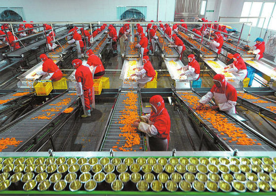 Çin Plastik Bardak Konserve Gıda Üretim Hattı, Meyve ve Sebze İşleme Ekipmanları Tedarikçi