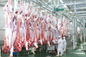 Sığır Bölünmüş Et Üretim Hattı / İşleme Hattı 100-300 Saat Başına Sığır Tedarikçi