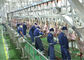 Kuzu Bölünmüş Et Üretim Hattı, Endüstriyel Üretim Hattı İleri İşleme Tedarikçi