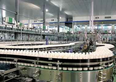 Çin PET Şişe İçecek Yapma Makinesi Üreten Ceviz Fıstık Sütü / Mısır Suyu Tedarikçi