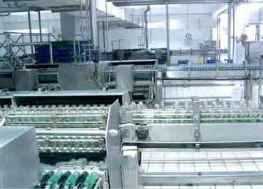 Çin Cam Şişelenmiş İçecek İşleme Ekipmanları Ceviz / Fıstık Süt Üretim Hattı Tedarikçi