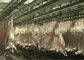 Keçi Koyun Eti Bölünmüş Et Üretim Hattı Kesim Taşıma Tüm İşleme Tipi Tedarikçi